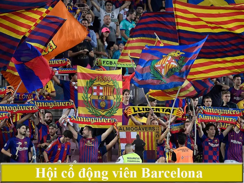 Cules và câu lạc bộ bóng đá Barcelona